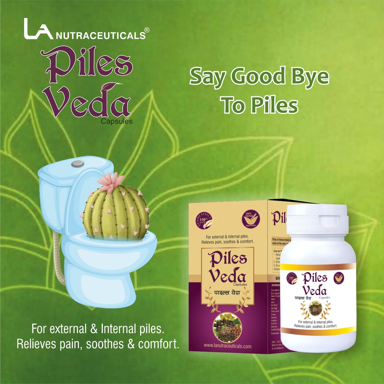 Piles Veda Capsules | Herbal Capsules of Piles | 60 Capsules