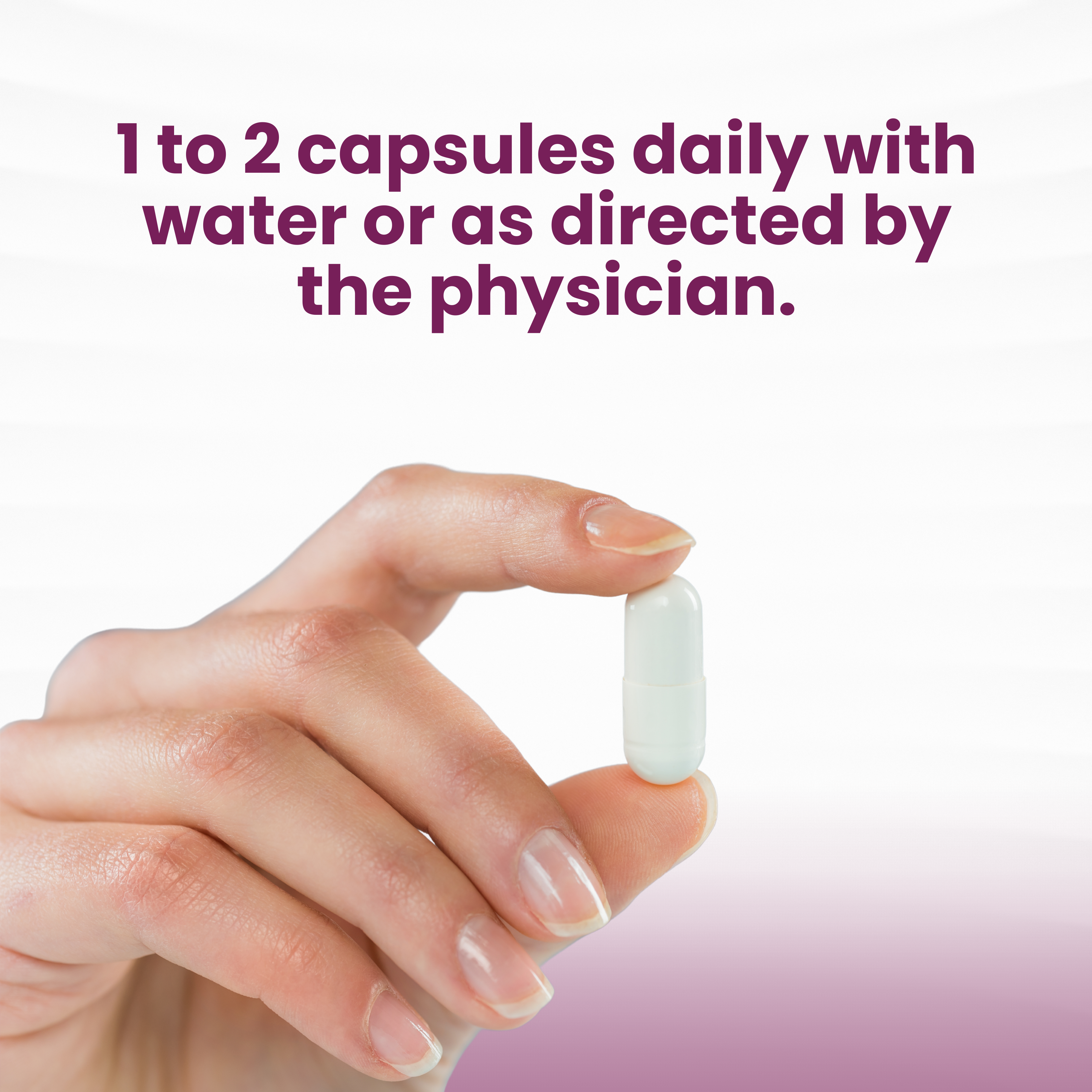Piles Veda Capsules | Herbal Capsules of Piles | 60 Capsules