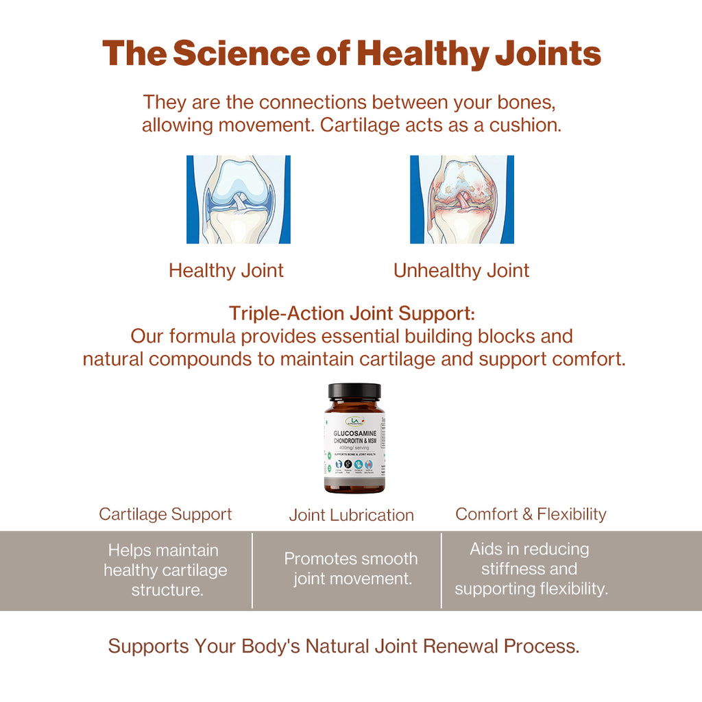 Glucosamine Choindroitin & MSM 400mg | Supports Bones and Joint Pain | 60 Capsules