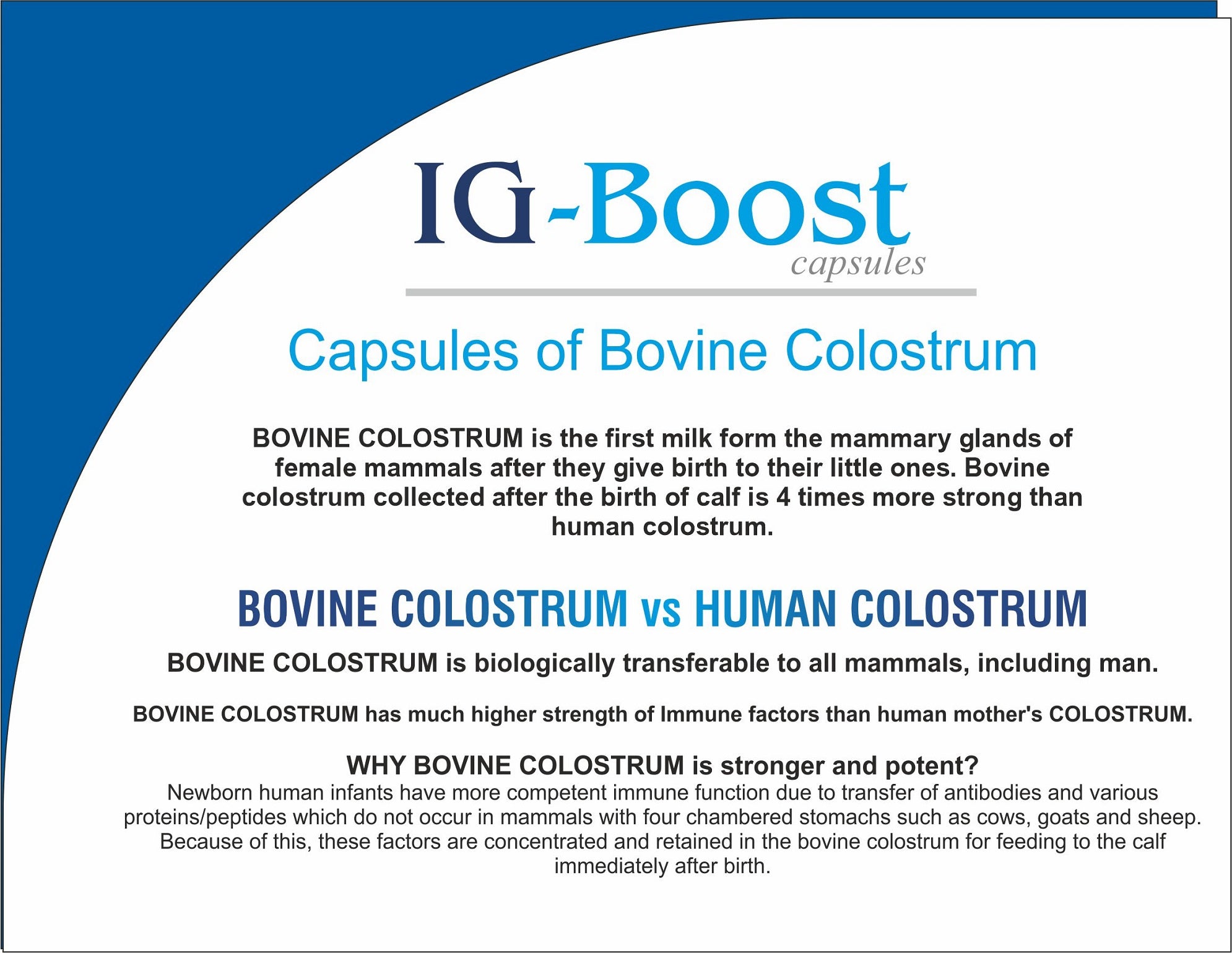IG Boost Capsules- Bovine Colostrum | Immune & Gut Health Supplement