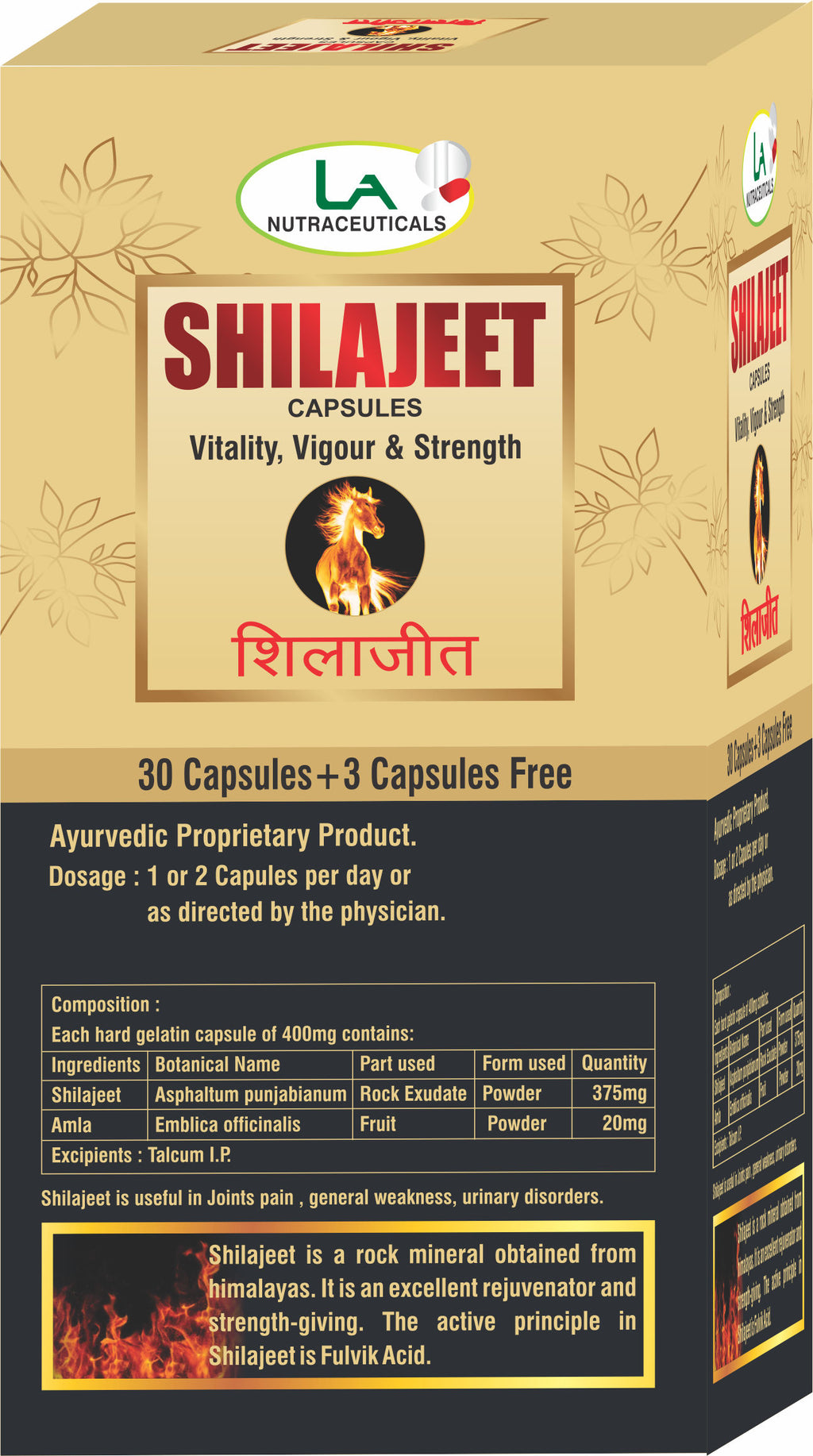 Shilajeet Capsules for Strength and Stamina
