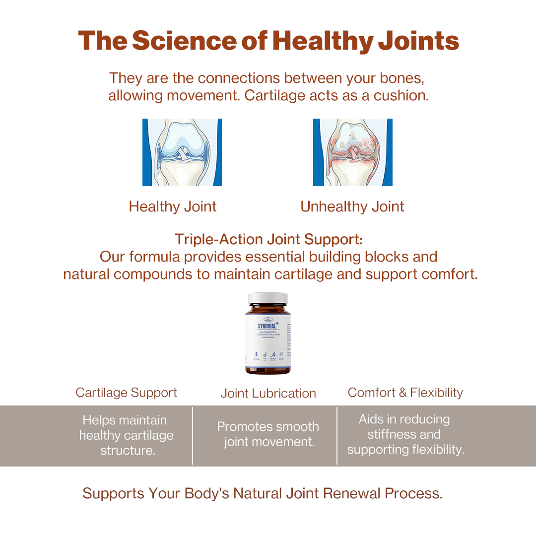SYNOVIAL PLUS | Glucosamine Choindroitin & MSM | Supports Bones and Joint Pain | 60 Capsules