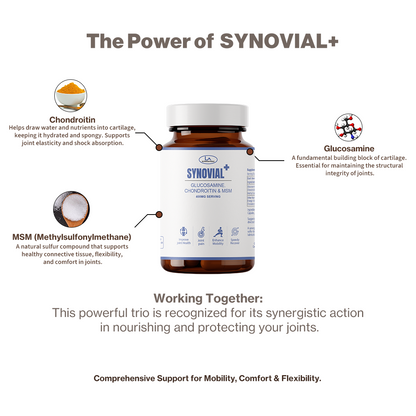 SYNOVIAL PLUS | Glucosamine Choindroitin & MSM | Supports Bones and Joint Pain | 60 Capsules