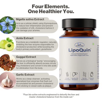 LipoQuin | Science-backed Liver Support | Bio-Active Extracts | 60 Capsules