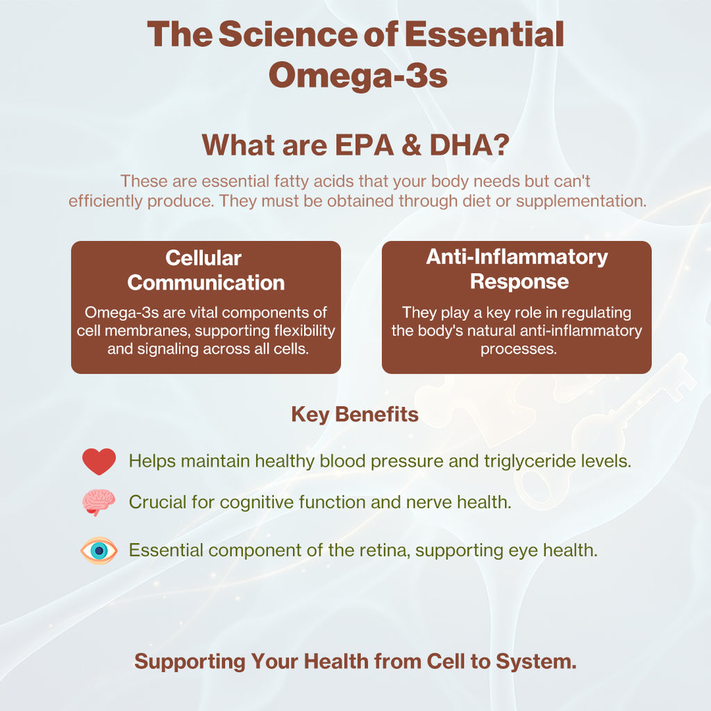 Omega 3 Fish Oil 1000mg with 180mg EPA and 120mg DHA | 60 Softgel Capsules